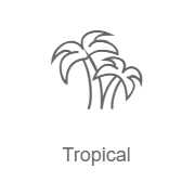 Radio Record: Tropical